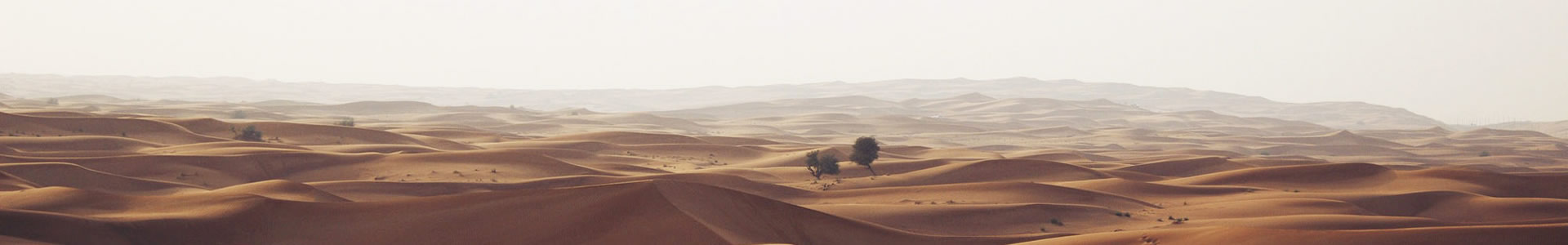 ӱ׿ݽƼ޹˾
